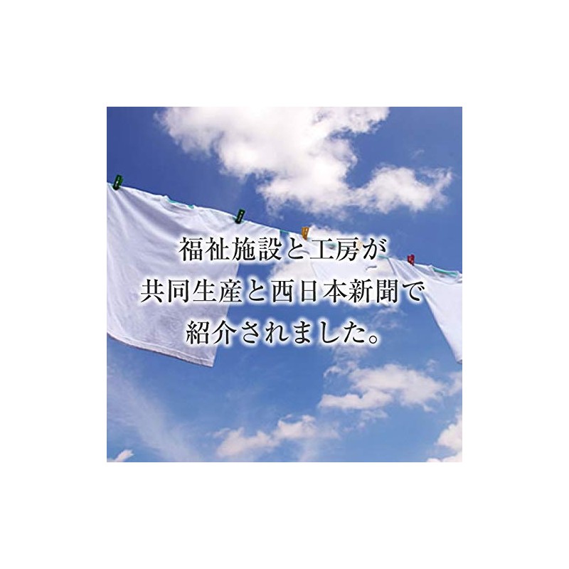 Parseille Laundry Soap, Natural Laundry Soap, 19.7 fl oz (550