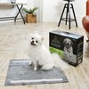 휘슬 [APP전용][총100매] 휘슬 리얼 블랙 강아지 배변패드 50매*2개 (소형 40x50cm)