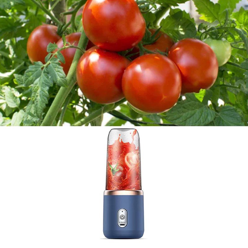 Mini Juicer Cup Multifunctional Portable Rechargeable Juicer Blender for Student