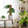 EOX 8 Pcs 15 Inch Plastic Moss Pole for Monstera,