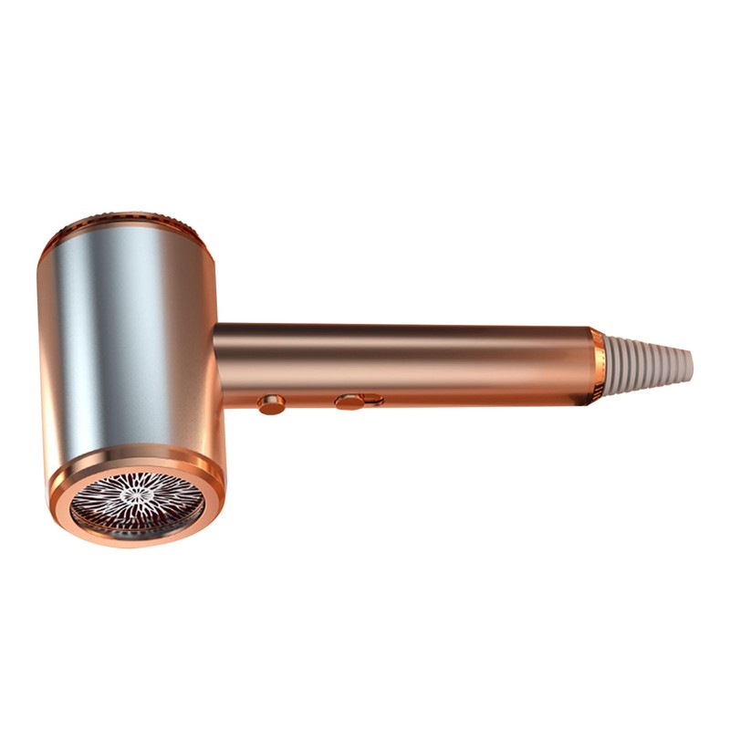 Negative Ion Hair Dryer High Power Blue Light Caring Quiet