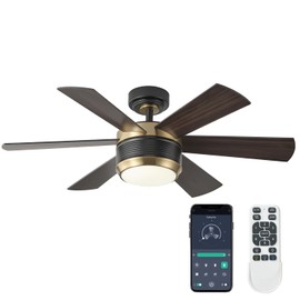 SHOWDI 42 Inch Ceiling Fan with Lights and Remote, 6 Blade App Control Timer Reversible Stepless Brightness and Color Temperature Outdoor Wood Ceiling Fan with Lights (Black-Gold, 42 Inch)