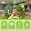 Birds LOVE French Kissed Spray Millet for Birds - Parakeets,