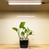 DA Light LED Light Strip Kitchen Lighting 4000k Natural White