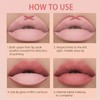 Hydrating Lip Gloss Set - 4 Nude Pink Lipsticks, Waterproof,