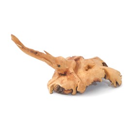 Brave Wings Hand Carved Wooden Animal ~ Elephant Head Parasite ~ OOAK Sculpture Figurine Statue Unique Table Decoration Home Decor Gift for Christmas and Birthdays ~ 4794