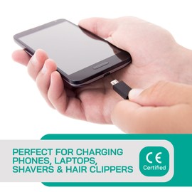 300 Watt Step Up/Step Down Travel Voltage Converter, 220/110v to 110/220v converter with Type B Plug - Compatible with Hair Straightener, Camera, Laptop & More