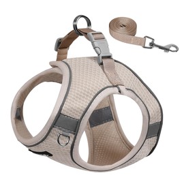 AIITLE Small Dog Harness, No-Pull Cat Harness with a Leash, Step in Adjustable Puppy Harness with Quick-Release Buckle, Reflective Outdoor Pet Vest for Extra Small Dogs and House Cats Beige XXS