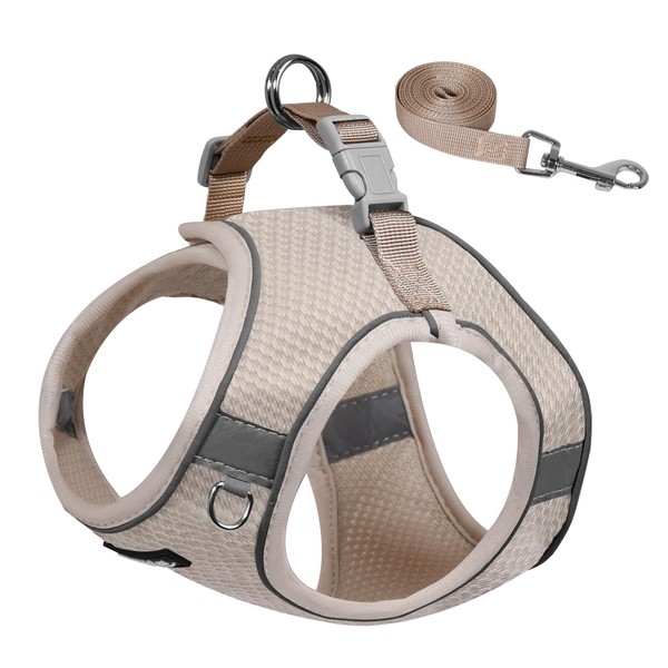 AIITLE Small Dog Harness, No-Pull Cat Harness with a Leash,