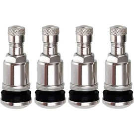 KEWAYO 4Pcs Tire Valve Stem, Bolt-in Car Tire Valve Stems with Dust Cap, Metal Tubeless Tire Valve Stem Accessories for AVT, Motorcycle, Truck and Lawn Mower