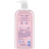 Dial Body Wash, Silk & Magnolia, 23 fl oz (Pack