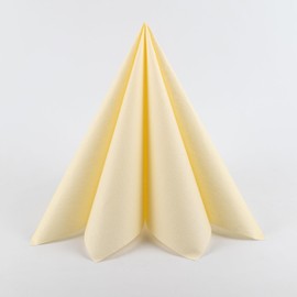 AKKA Servietten Weiß – 50 stück, Airlaid Einwegservietten, 40x40 cm, stoffähnlich & saugstark, ideal für Hochzeit, Party & Gastronomie (Champagner)