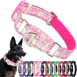 Pink Martingale Collar for Dogs, Reflective Nylon Dog Collar with Quick Release Buckle, No Slip Female Girl's Pet Collars Adjustable Training, Walking, Hunting Daisy, M