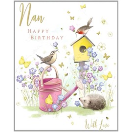 Noel Tatt Female Nan Birthday Card for Women - Garden Wildlife Hedgehog and Little Birds - Eco-Friendly and Recyclable - Made in England