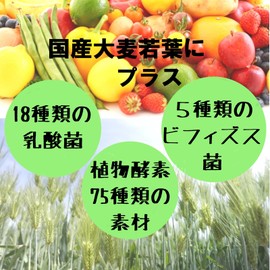 大麦若葉青汁ゼリーα スイートアップル風味 国産大麦若葉 フルーツ青汁 タップリ１５gが１４包 乳酸菌 ビフィズス菌 植物酵素 コラーゲン プラセンタ カルシウム 鉄 黒酢配合 野菜 健康 美容 ゼリー (２箱)