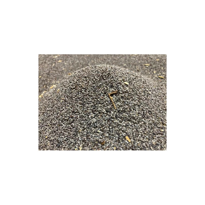 150,000 Specially Imported Fresh Poppy Seeds! Amazing Best Quality! FREE