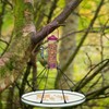 FoldTier 1 Piece Universal Wild Bird Seed Catcher Hanging Hoop