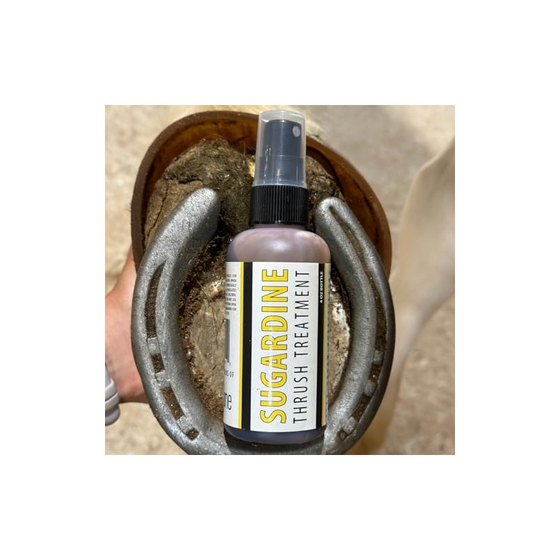 B Gone Sugardine Thrush Treatment - for Equestrians, Horses with