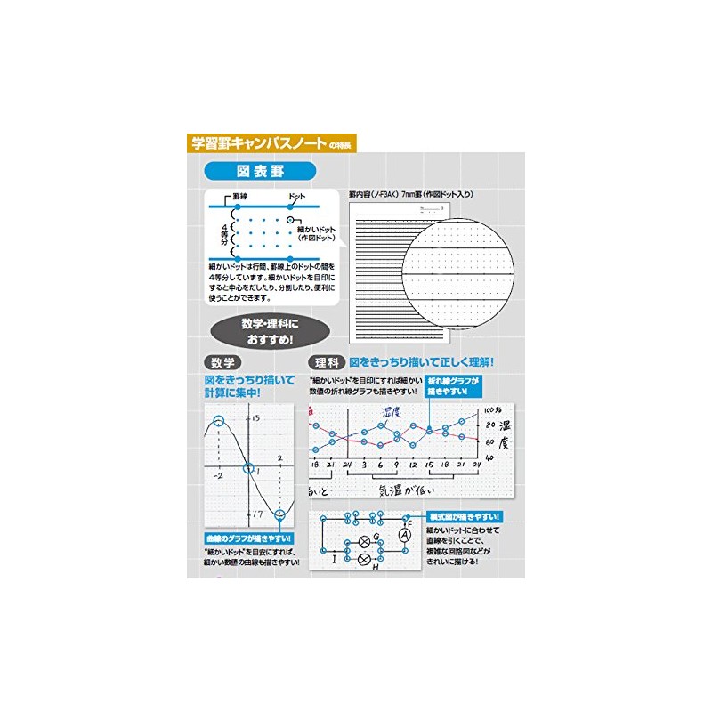 Kokuyo Campus notebook chart ruled B5 6 mm Ruled 30