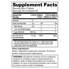 KidStar Nutrients BioFe Pure Iron Chewables, Sweet Blast, No Sugar, Sweetened with Xylitol, 120 Chewable Tablets