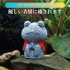 Frog Store Figurine, Goods, Interior, Object, Garden, Miscellaneous Goods, Doll,