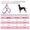 AIITLE Dog Harness and Leash Set - No Pull Pet