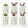 6 Pack Ceramic Tooth Planter