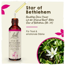 Bach Flowers Star of Bethlehem Drops 20 ml