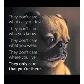 Inspirational  dog refrigerator magnet 3 1/2 x 4 1/2"