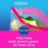 Ziploc Gallon Storage Bags with New Stay Open Design {208