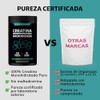 Creatina Monohidratada Micronizada Polvo 100 Alta Pureza Certificada Pre Workout