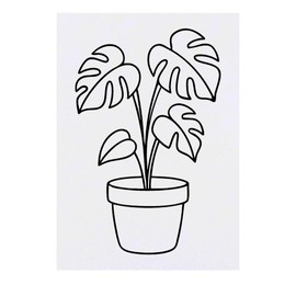 'Cheese Plant' Temporary Tattoo - Water Resistant, Skin-Safe, Non-Toxic Transfer (TO00085579)