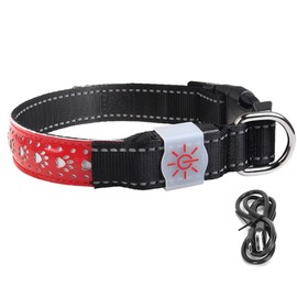 LED Pet Glowing Adjustable Safety Rechargeable Collar USB Charging for Cat Small Dogred S