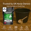 Freestep Steady – Natural Calming Supplement for Horses with Hormonal