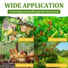 Bird Netting for Chicken Coop - 50x50ft Chicken Netting for