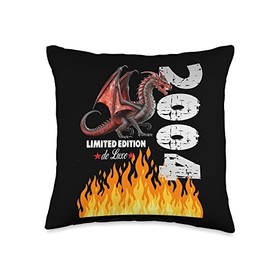 Limited Edition De Luxe Birthday Gift Idea Year of Birth, 2004 Limited Edition Birthday Throw Pillow, 16x16, Multicolor