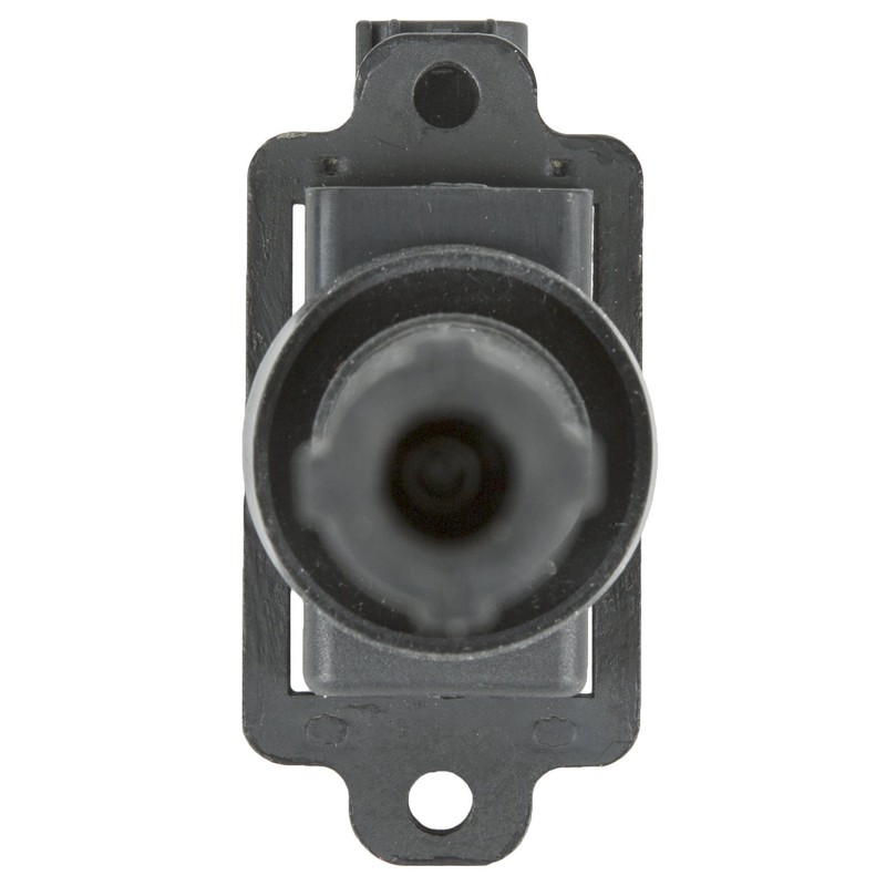 Delphi GN10387 Plug Top Ignition Coil