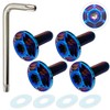RENPA Titanium Alloy Number Plate Specific Bolt with Snowflake Design,