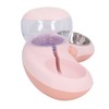 Double Cat Bowls Pet Food and Water Bowl Set Tilted