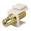 Skywalker Construct Pro F-Connector to RCA Keystone Jack w/ 8