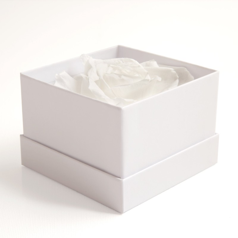 Infinity Rose Preserved Rose Box I Love You Gift for