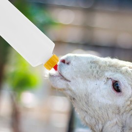 DOITOOL 5pcs 400ml Lamb Feeding Bottle, Small Animal Milk Bottle Feeding, Sheep Goat Milk Drink Bottle for Feeding Cow Goat Lambing Tools