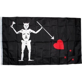 Moon 3x5 Black Beard Blackbeard Pirate Edward Rough Tex Knitted nylon Flag 3x5 100d - Vivid Color and UV Fade Resistant - Prime Outside Garden Home Decor