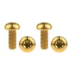 Dingtai M5x12mm Titanium Bolt Torx for Bicycle Bottle Cage 4pcs