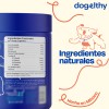 Dogelthy Skin Kit Sabor Cerdo Con Omega 3s