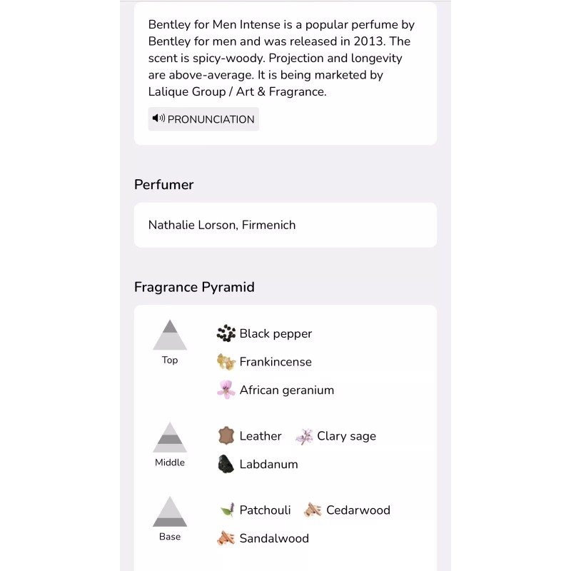 BENTLEY for men intense bentley