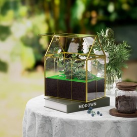 Atzciyr Glass Geometric Plant Terrarium, Modern Decor DIY Gift Box, Glass Planter Terrarium with Lid, Succulent & Air Planter for Home Garden Office Decoration (Gold)