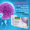 Gesfert, integratore a base di Acido Folico, Maca Andina, Zinco,