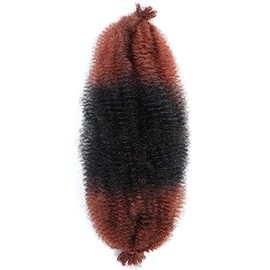 Afro Twist Hair Springy Afro Twist Hair Crochet Braiding Hair (24 Inch (Pack of 3), 1b/350) …