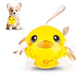 PP PICADOR Dog Toys Soccer Ball, Interactive Dog Balls Puppy Birthday Gifts, Durable Herding Balls for Small Medium Dogs Toy Tug of War(6inch)